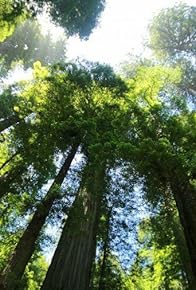 Primary photo for The Living Edens: Big Sur: California's Wild Coast