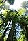 The Living Edens: Big Sur: California's Wild Coast's primary photo