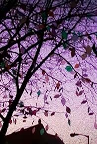 Primary photo for Tree of Life