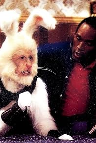 Primary photo for White Rabbits Can't Jump