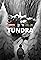 Tundra's primary photo