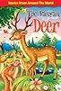Primary photo for Banyan Deer Primary photo for Banyan Deer
