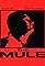 The Mule's primary photo