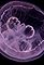 Pre-Consciousness's primary photo
