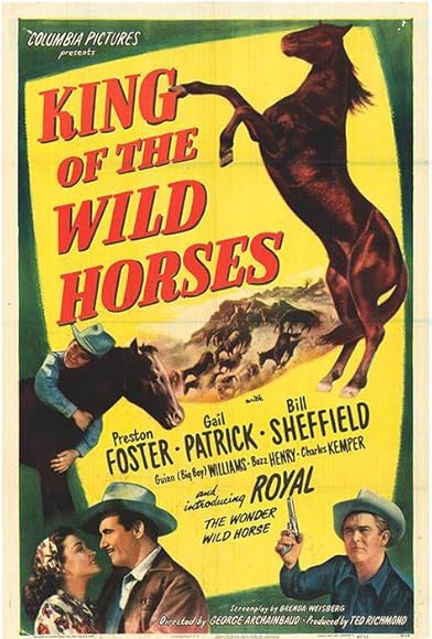 Primary photo for King of the Wild Horses Primary photo for King of the Wild Horses