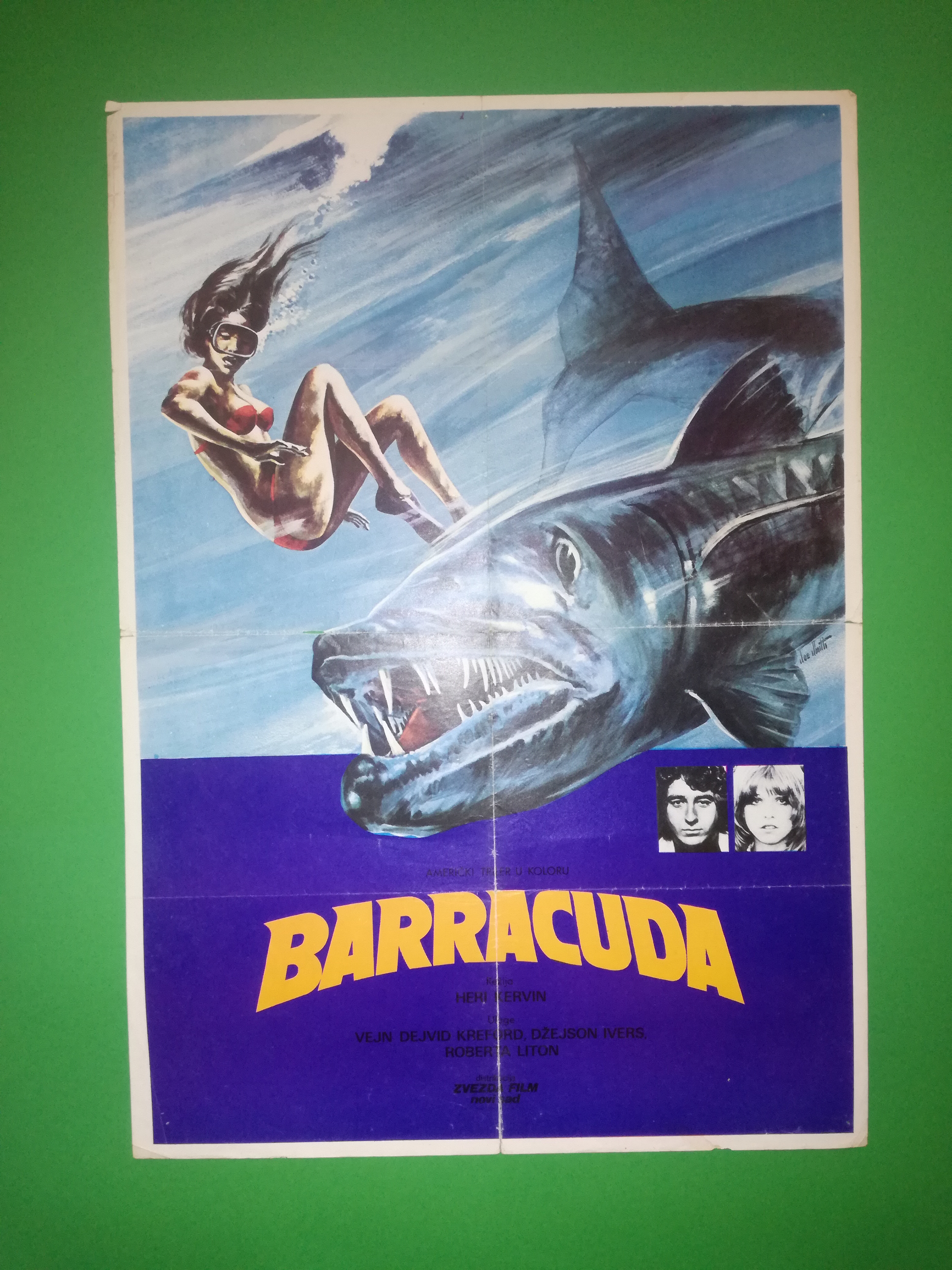 その他 BARRACUDA [DVD] その他 BARRACUDA [DVD] Amazon.co.jp: BARRACUDA [DVD