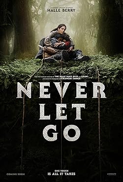 Poster of Never Let Go