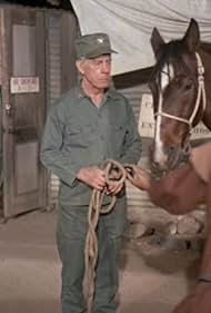 M*A*S*H" The Price (TV Episode 1979) - IMDb