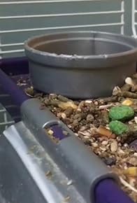 Primary photo for Nibbles News