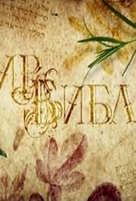 Primary photo for Mir Biblii