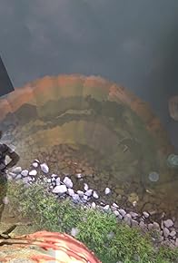 Primary photo for Stardust to Stardust: The Story of Bob Burch