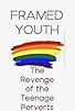 Primary photo for Framed Youth: The Revenge of the Teenage Perverts