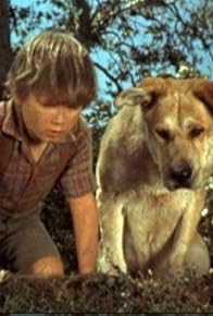 Primary photo for Old Yeller: Part 1 Primary photo for Old Yeller: Part 1
