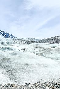Primary photo for Sea Life in Seward