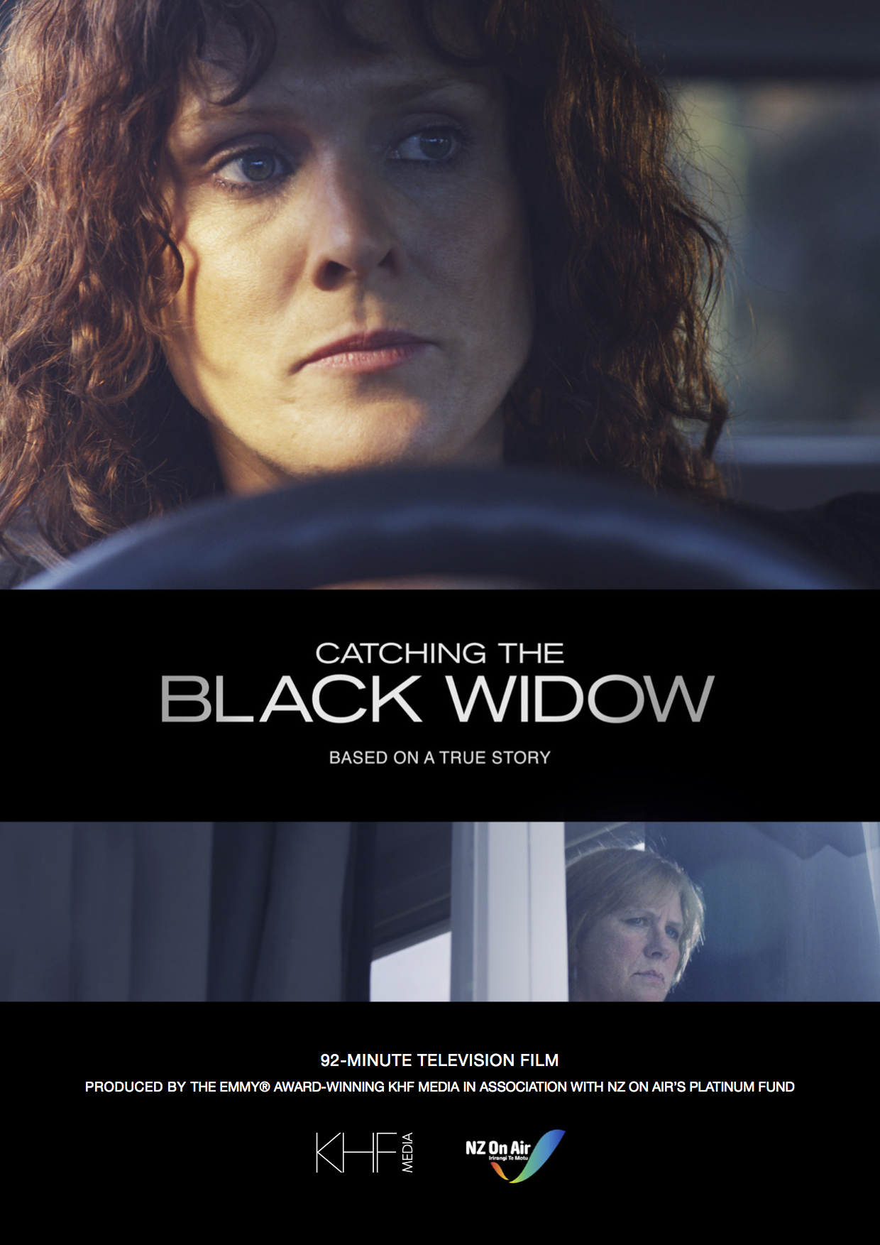 Poster of Catching the Black Widow
