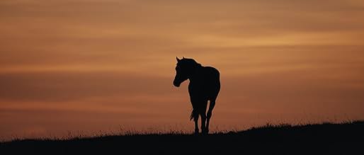 पोस्टर देखें