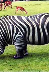 Primary photo for 20 Bizarre Hybrid Animals That Actually Exist