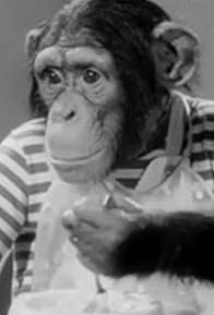 Primary photo for Bonzo