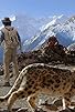 Primary photo for Andy and the Snow Leopard Primary photo for Andy and the Snow Leopard