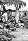 Who Killed the Surf Broad?'s primary photo
