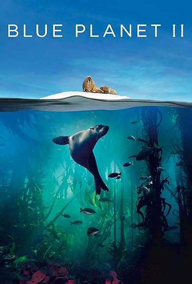 Primary photo for Blue Planet II Primary photo for Blue Planet II