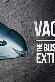 Primary photo for Vaquita
