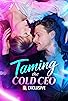 Primary photo for Taming the Cold CEO