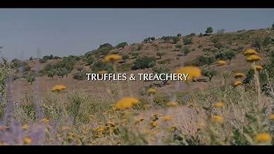 पोस्टर देखें