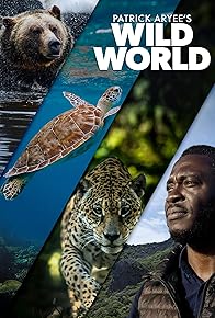 Primary photo for Patrick Aryee's Wild World