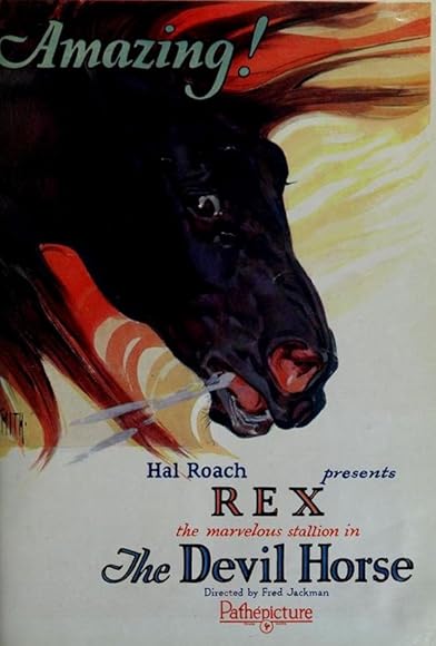 Primary photo for The Devil Horse Primary photo for The Devil Horse