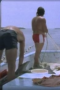 Primary photo for Operaatio delfiini