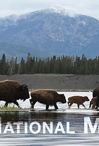 Primary photo for Our National Mammal