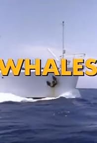 Primary photo for Whales