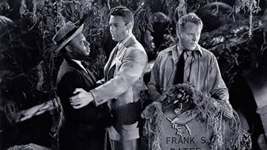 पोस्टर देखें