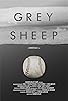 Primary photo for Grey Sheep Primary photo for Grey Sheep