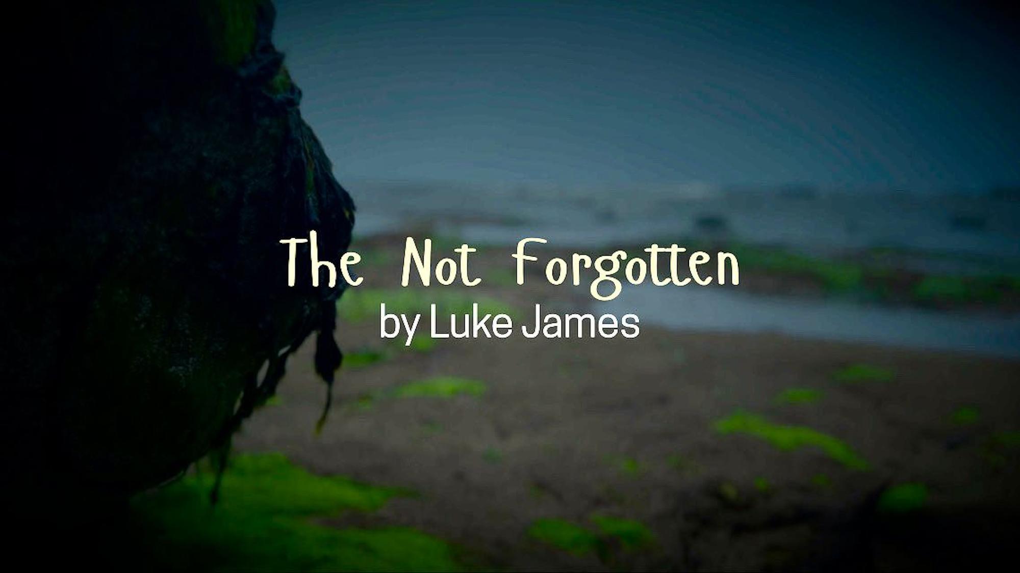 The Not Forgotten by Luke James