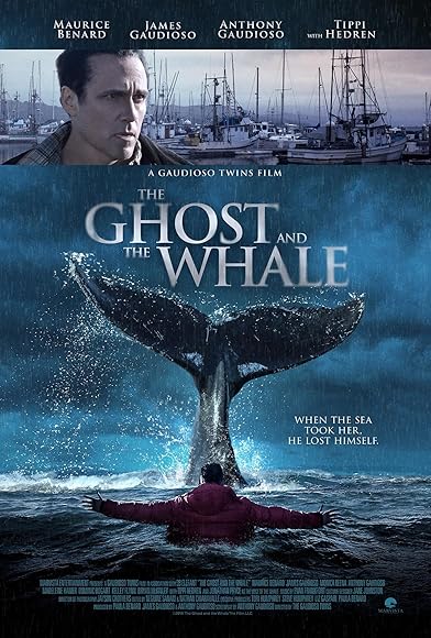 Primary photo for The Ghost and the Whale Primary photo for The Ghost and the Whale