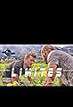 Limites!'s primary photo