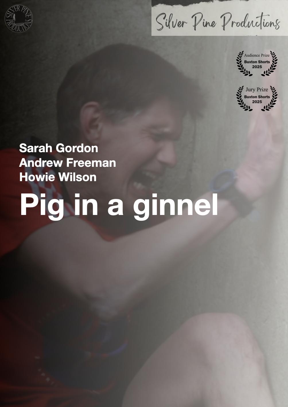 Pig in a ginnel