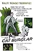Primary photo for The Cat Burglar