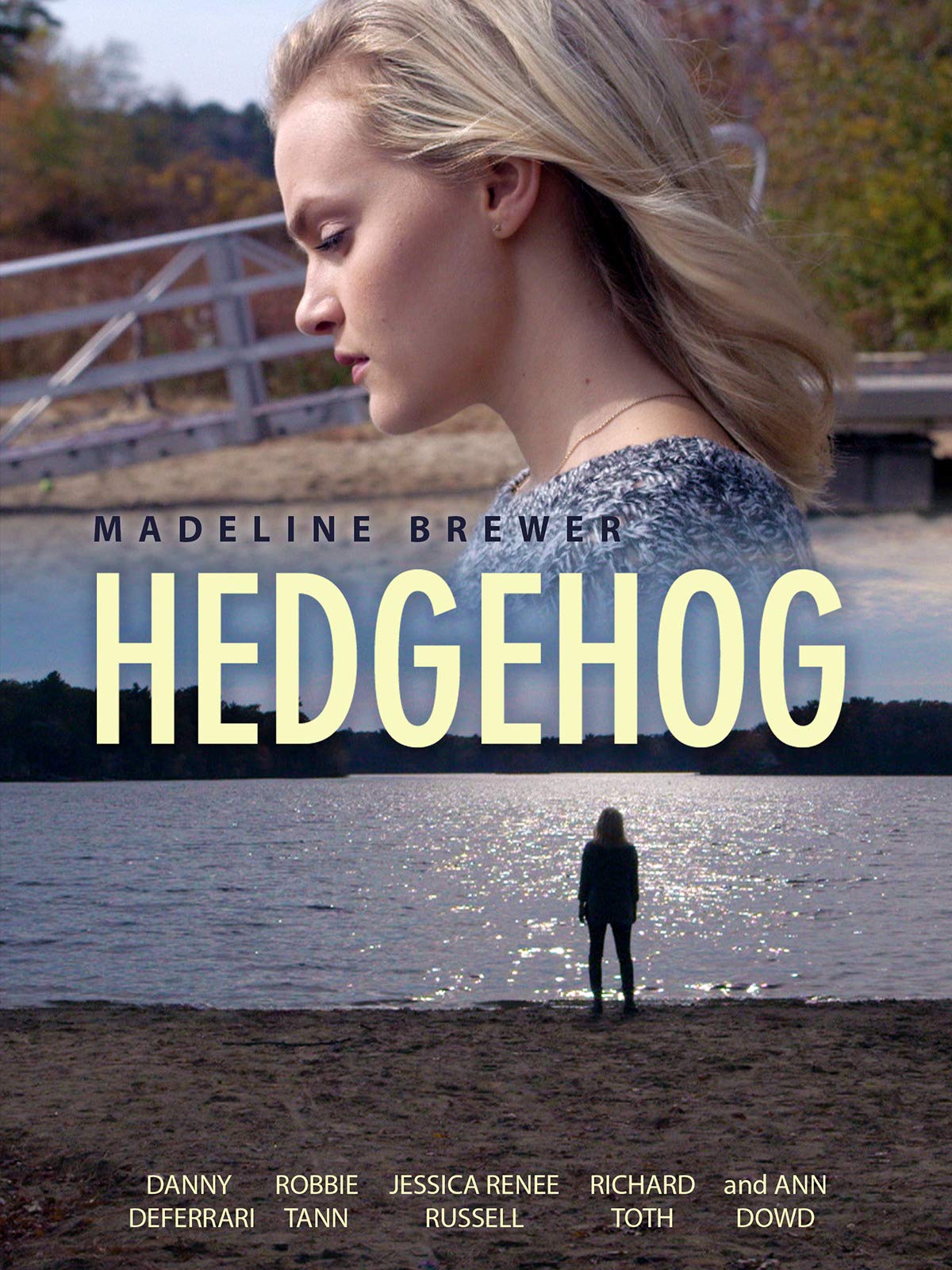 Poster of Hedgehog