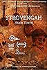 Primary photo for Strovengah: Amor Torto