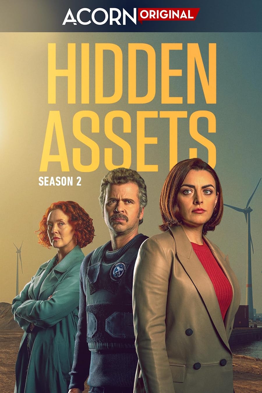 Hidden Assets Poster