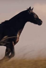 Primary photo for Maculado