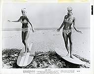 Surf Party 映画ポスター 1964 Surf Party - movie POSTER (Style A) (20