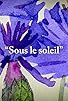 Primary photo for Sous le soleil Primary photo for Sous le soleil