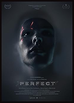 Poster of Perfect