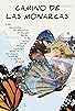 Primary photo for Camino de las Monarcas