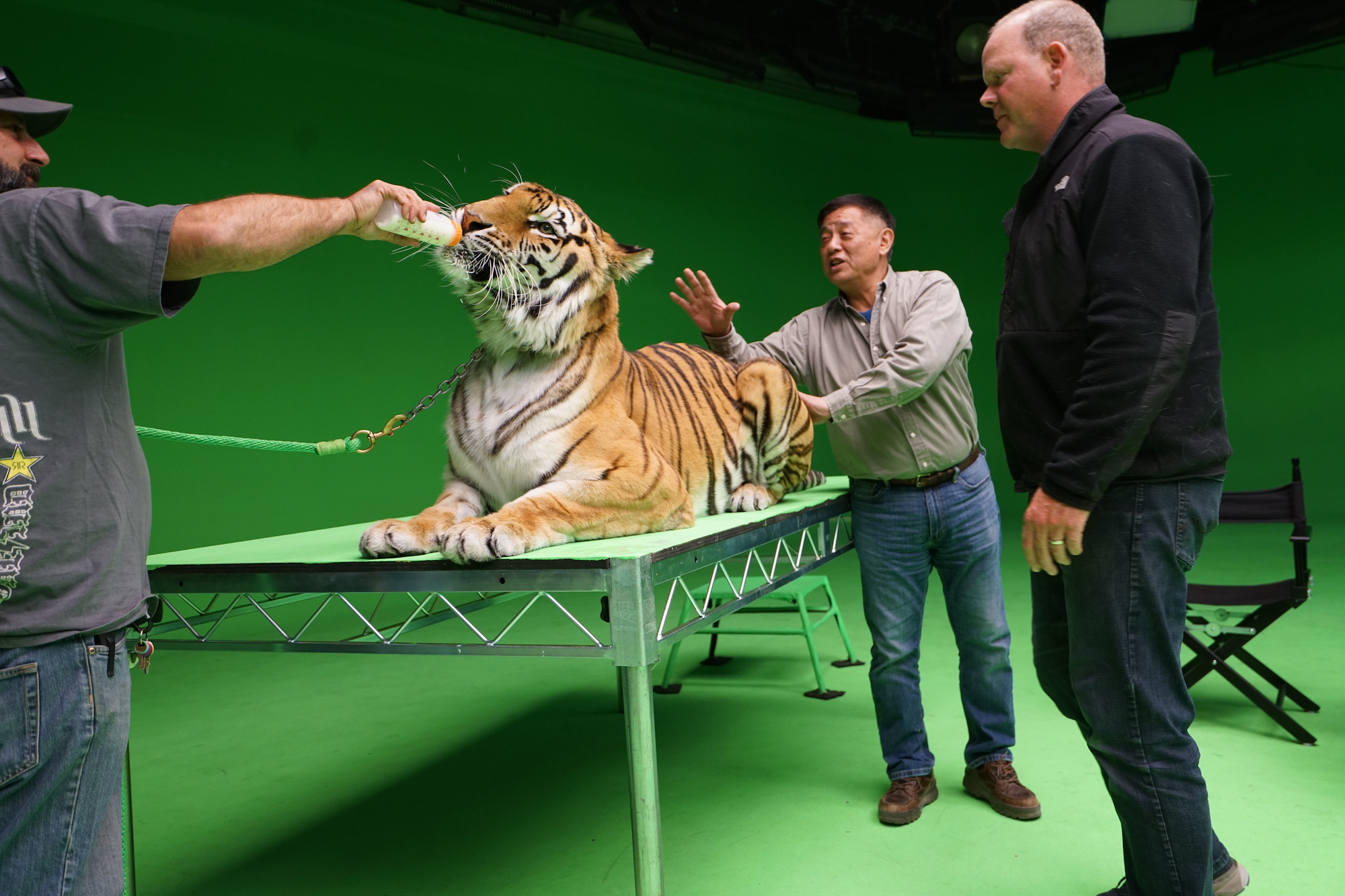 Tiger Robbers (2021)