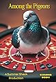 Among the Pigeons's primary photo